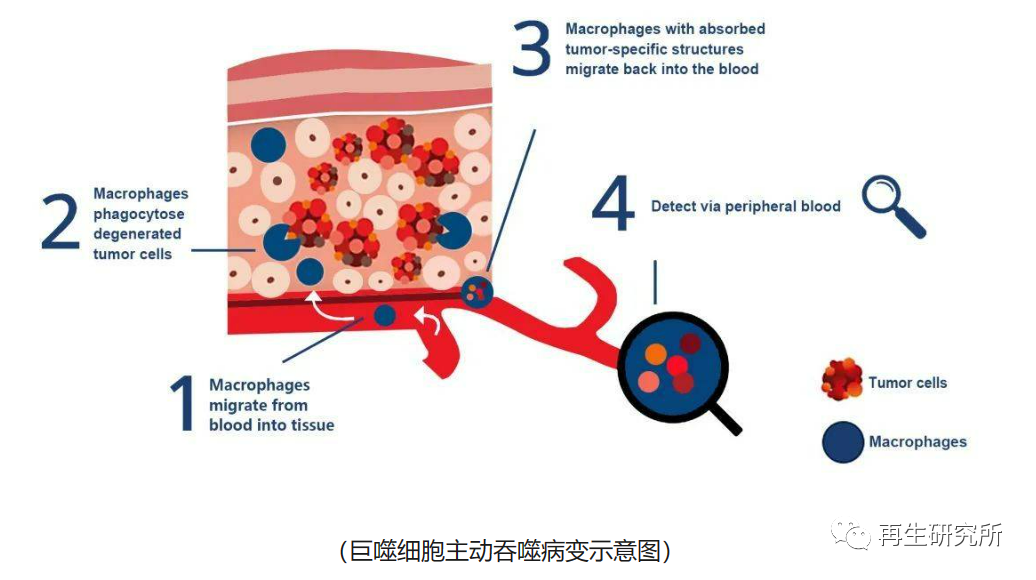 &#80;&#71;&#30005;&#23376;&#45;&#80;&#71;&#40;&#20013;&#22269;&#41;&#19968;&#31449;&#24335;&#26381;&#21153;&#23448;&#26041;&#32593;&#31449;